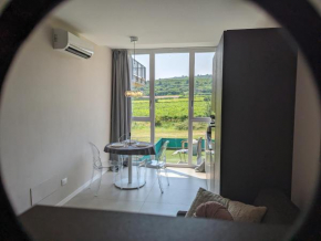 House with vineyard view, for 3 guests, with private covered parking space Negrar